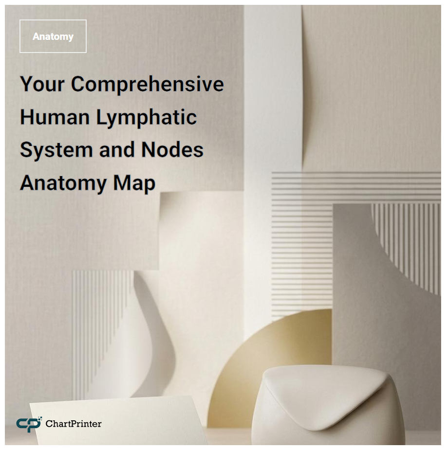 Your Comprehensive Human Lymphatic System and Nodes Anatomy Map