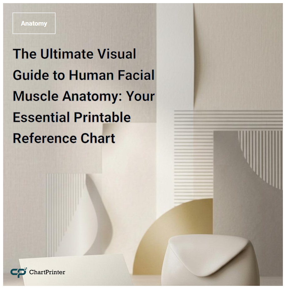 The Ultimate Visual Guide to Human Facial Muscle Anatomy: Your Essential Printable Reference Chart