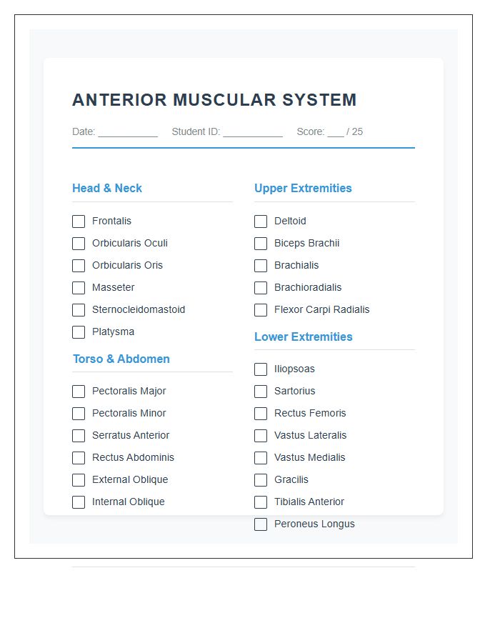 Anterior View Muscular System Printable Chart Checklist
