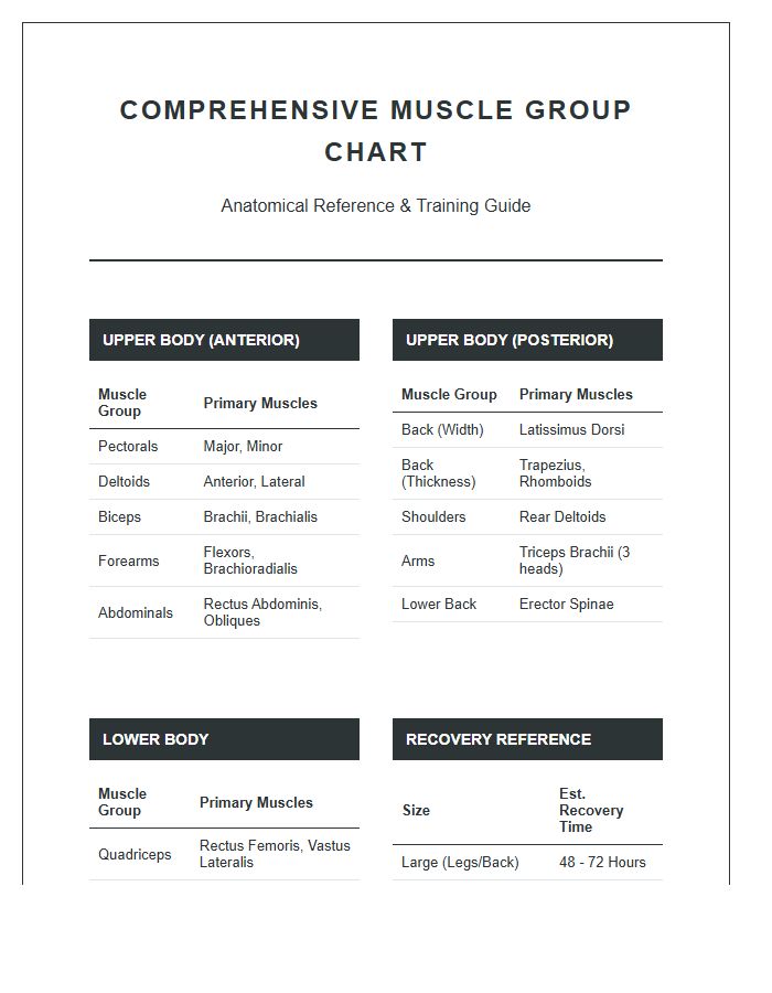 Comprehensive Human Muscle Group Printable Chart