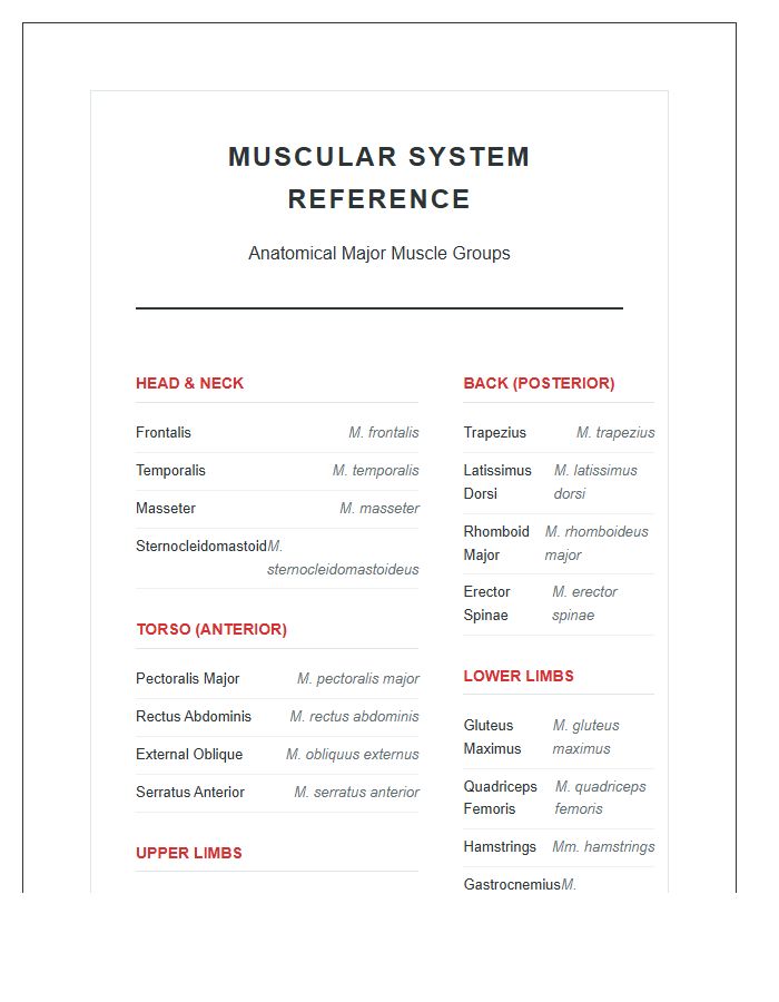 Human Body Muscles Reference Printable Chart