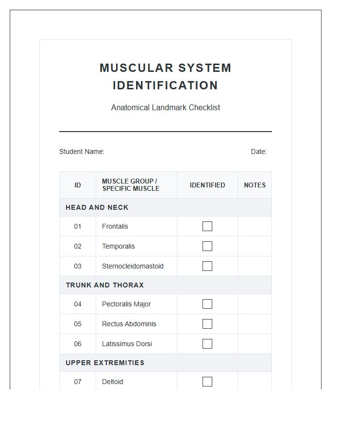 Muscular System Identification Checklist Printable Chart