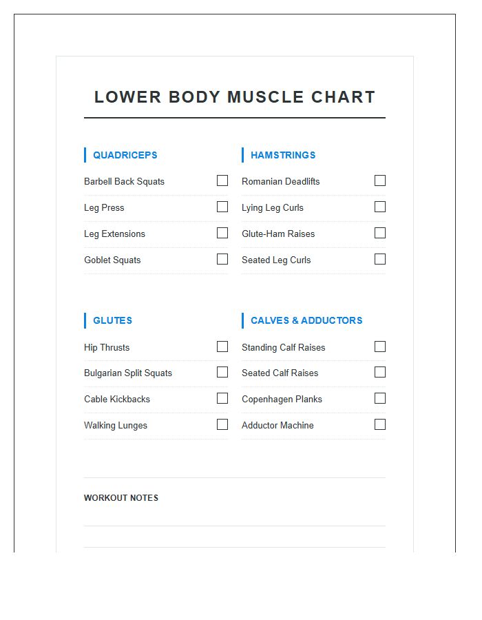 Lower Body Muscle Printable Chart