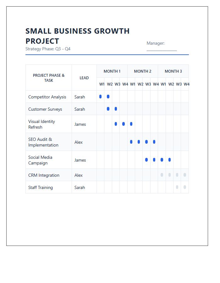 Small Business Growth Project Gantt Chart Printable