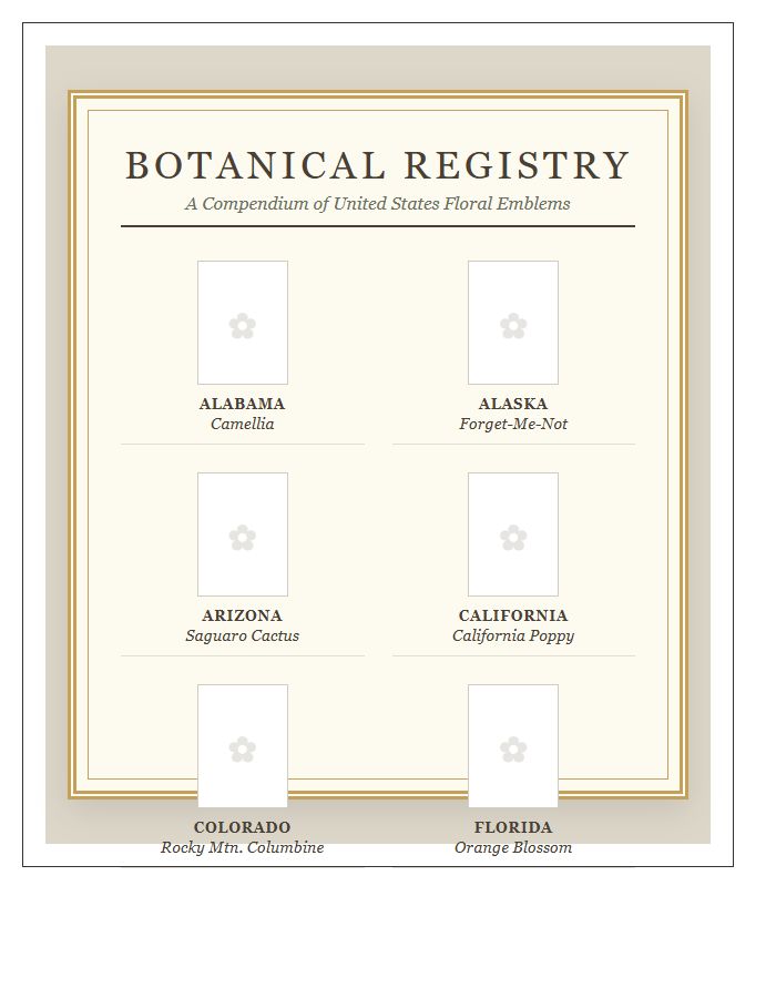 Vintage Aesthetic Printable State Flower Map Chart
