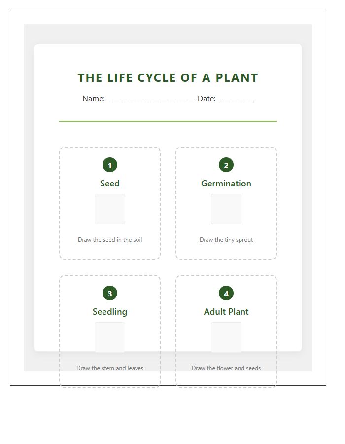 Primary School Plant Life Cycle Printable Chart