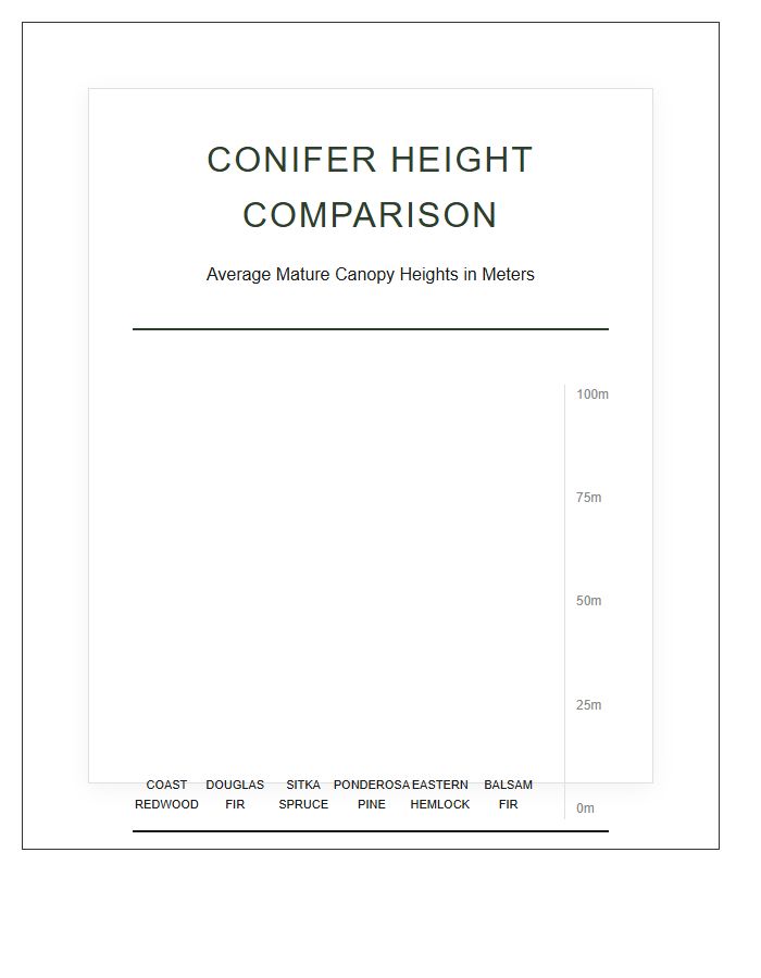 Conifer Forest Species Height Printable Chart