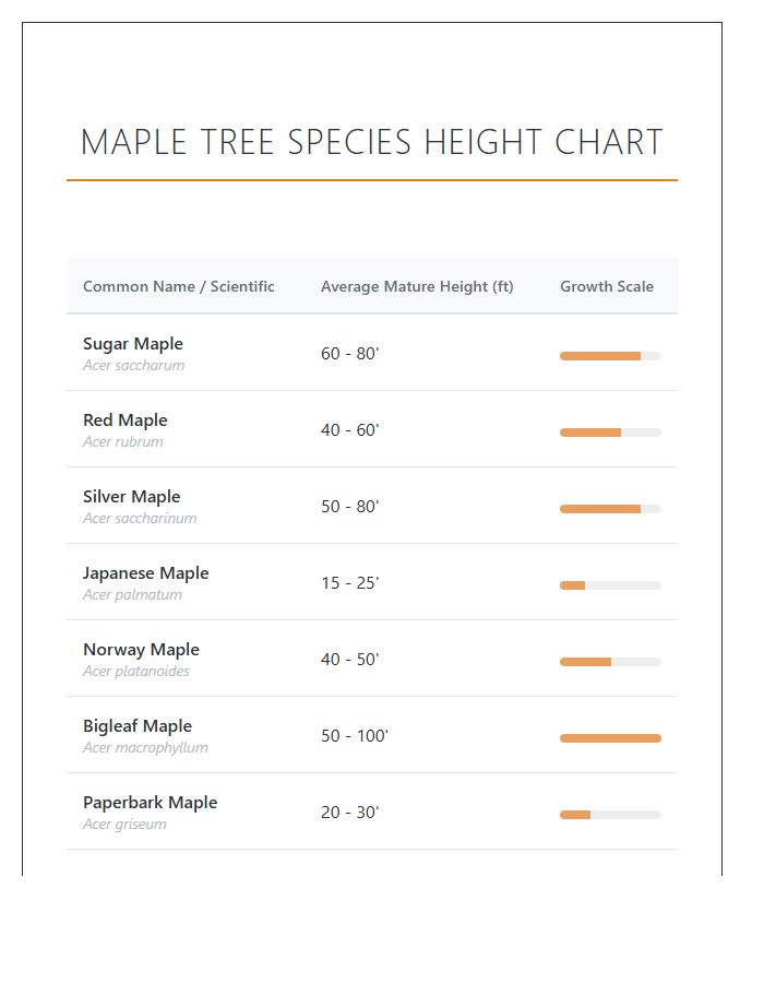 Maple Tree Species Height Printable Chart
