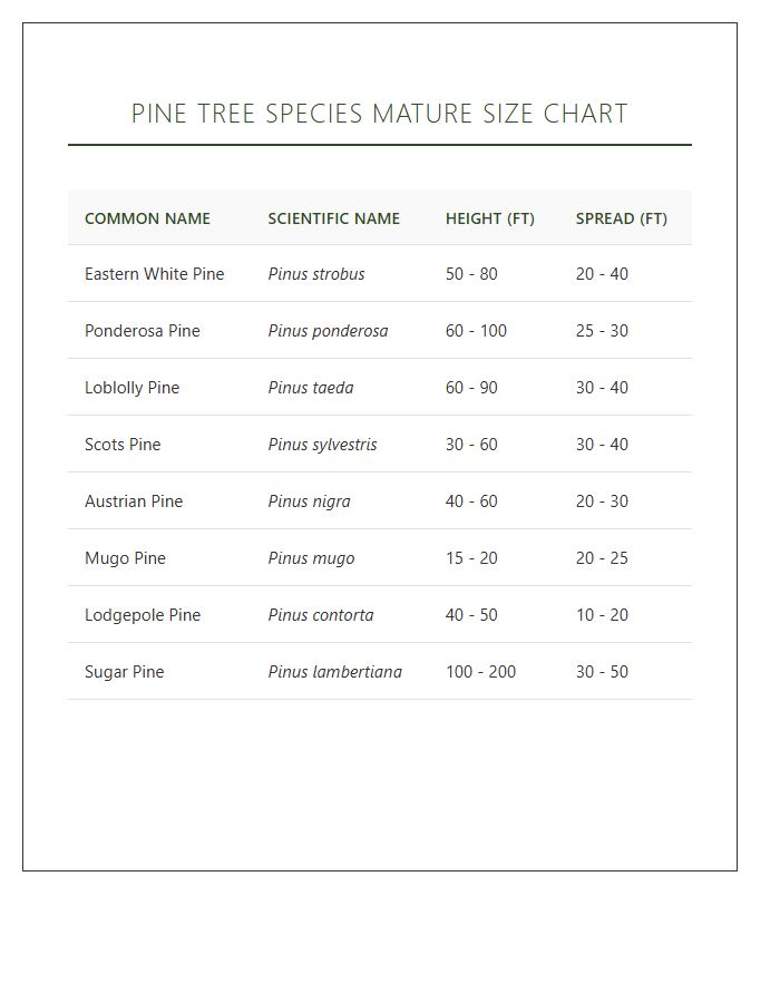 Pine Tree Species Mature Size Printable Chart