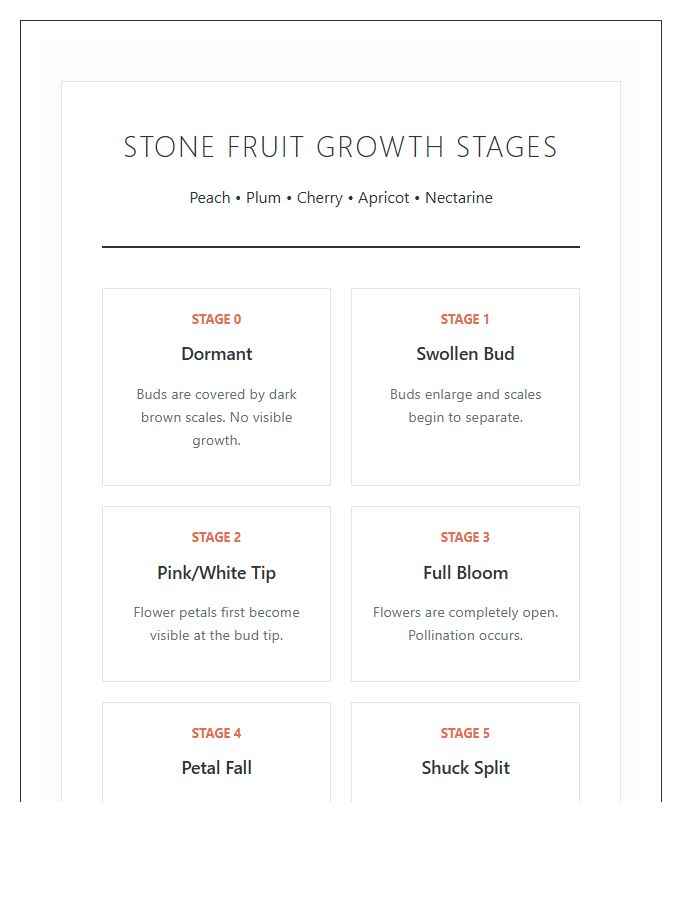Stone Fruit Tree Growth Stages Printable Chart