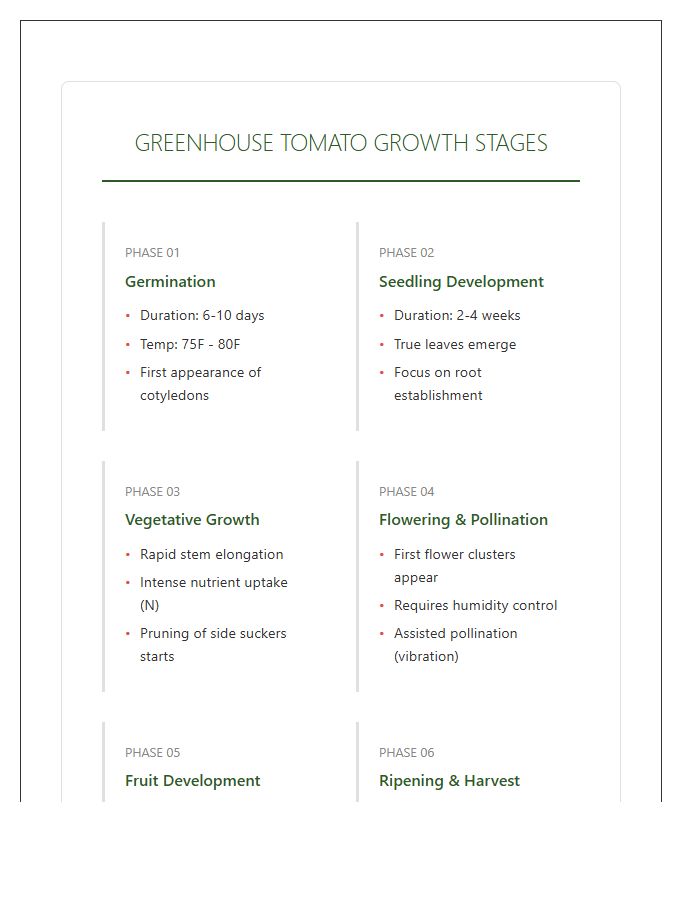 Greenhouse Tomato Growth Stages Printable Chart