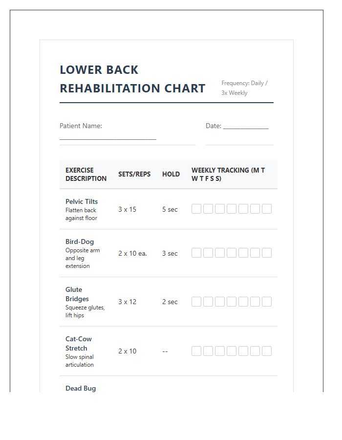 Lower Back Strength Printable Physical Therapy Chart