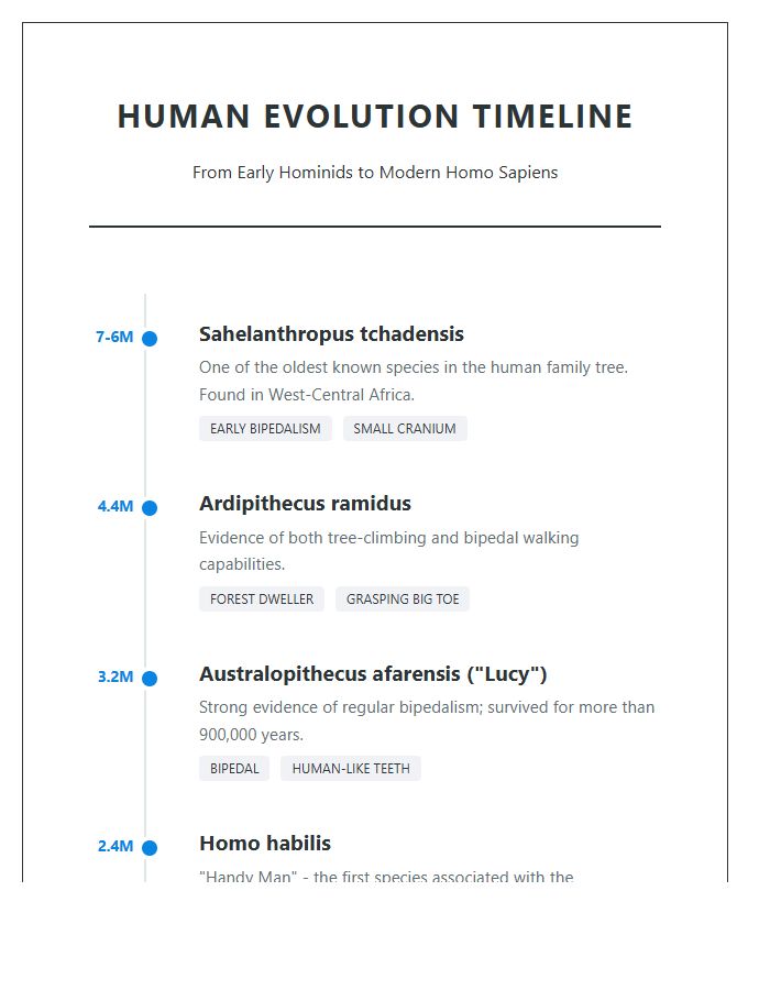 Human Evolution History Timeline Printable Chart