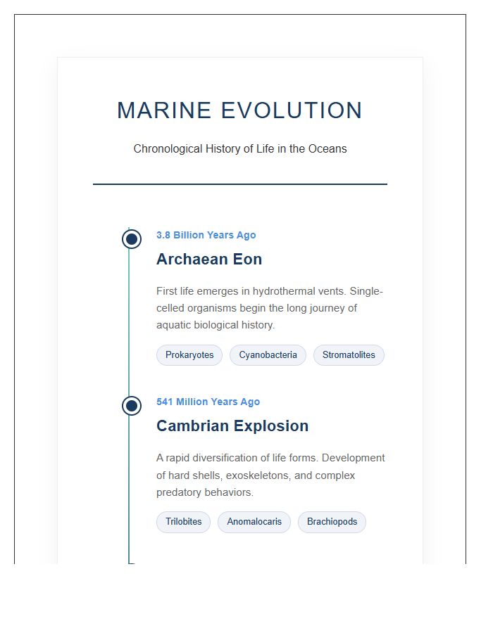 Marine Life Evolution History Timeline Printable Chart