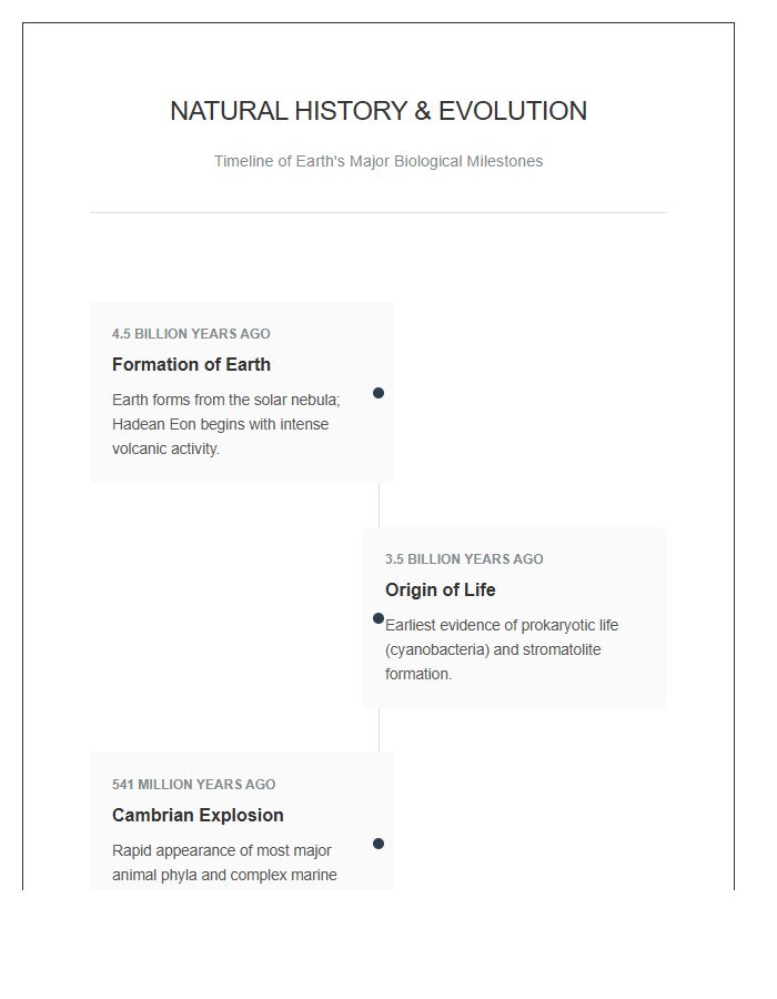 Natural History Evolution Timeline Printable Chart