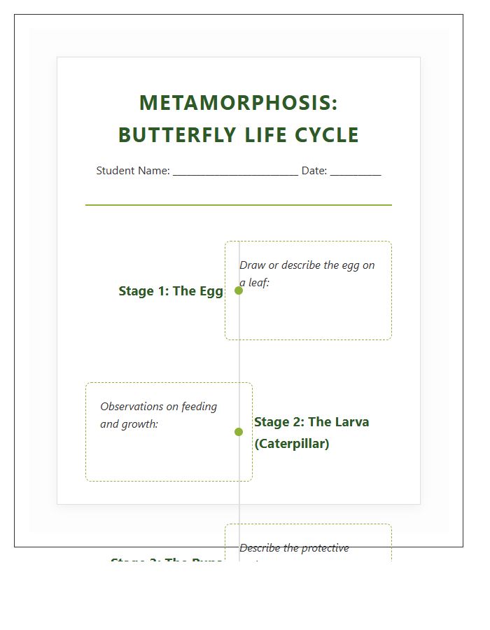 Biology Lesson Butterfly Life Cycle Timeline Printable Chart