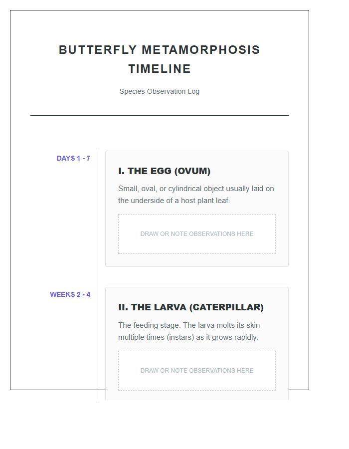 Butterfly Metamorphosis Timeline Printable Chart