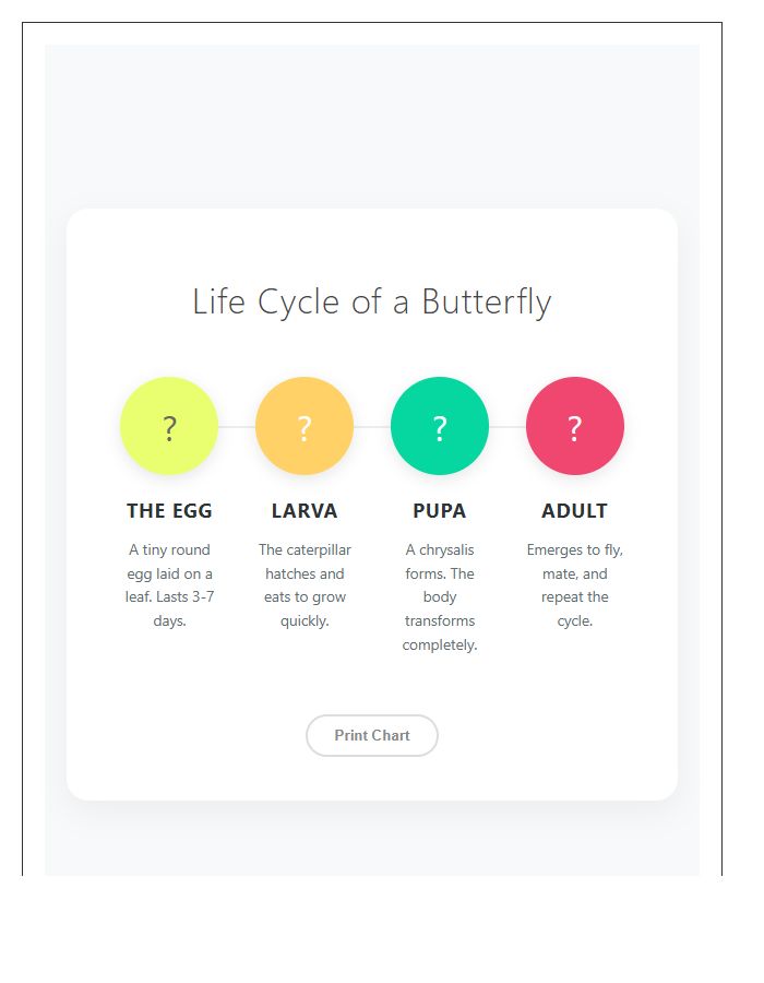Colorful Life Cycle Of A Butterfly Timeline Printable Chart