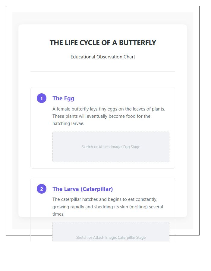 Educational Butterfly Life Cycle Timeline Printable Chart
