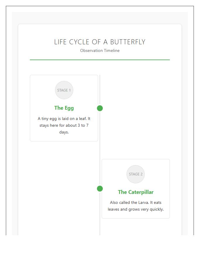 Life Cycle Of A Butterfly Timeline Printable Chart For Elementary School