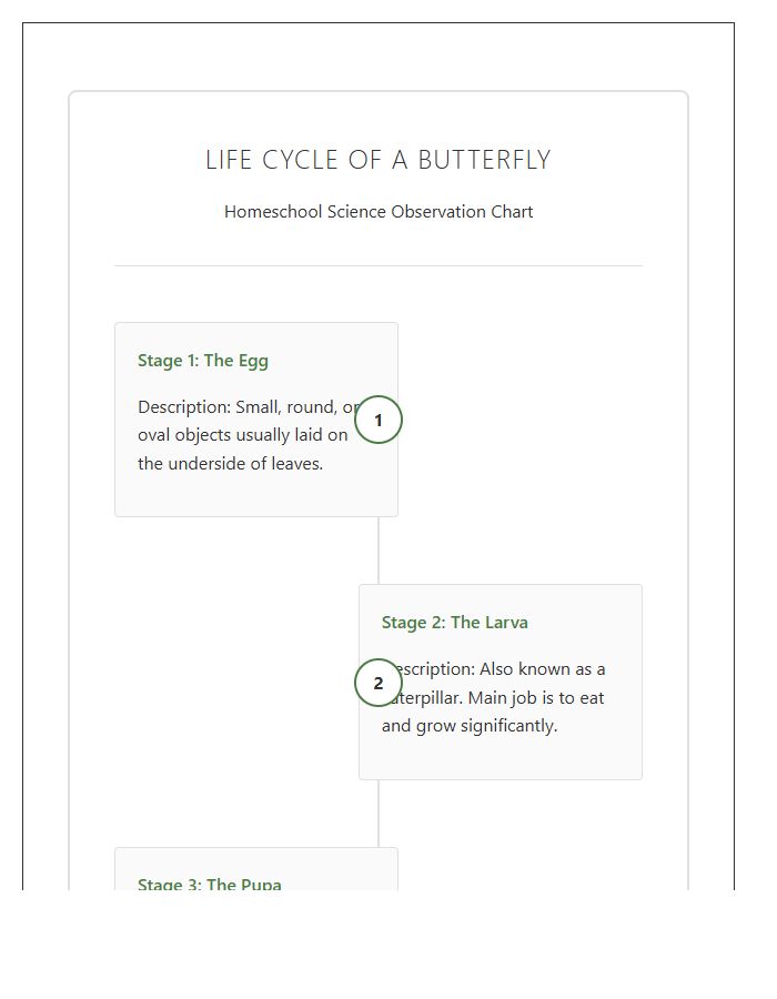 Life Cycle Of A Butterfly Timeline Printable Chart For Homeschool