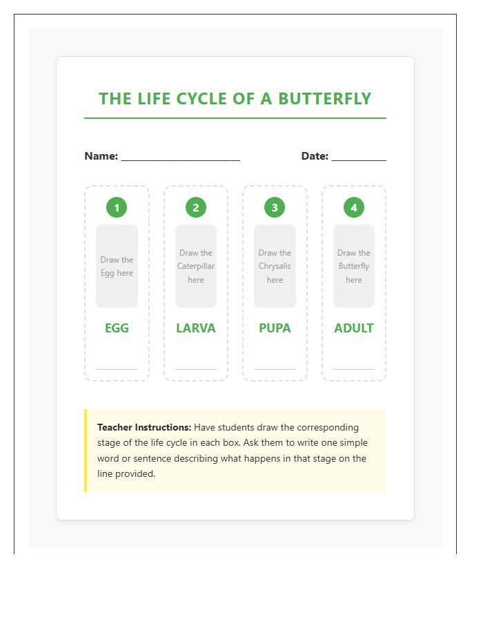 Life Cycle Of A Butterfly Timeline Printable Chart For Kindergarten