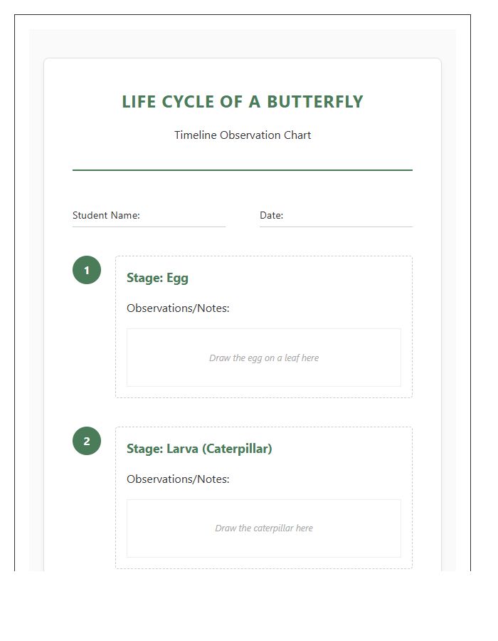 Life Cycle Of A Butterfly Timeline Printable Chart For Students
