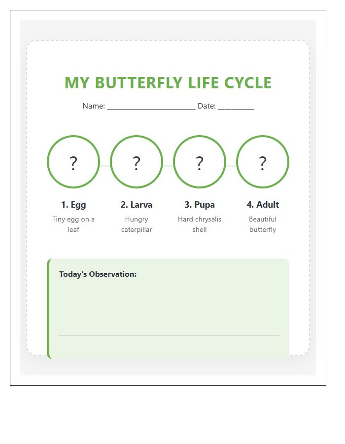 Life Cycle Of A Butterfly Timeline Printable Chart For Toddlers