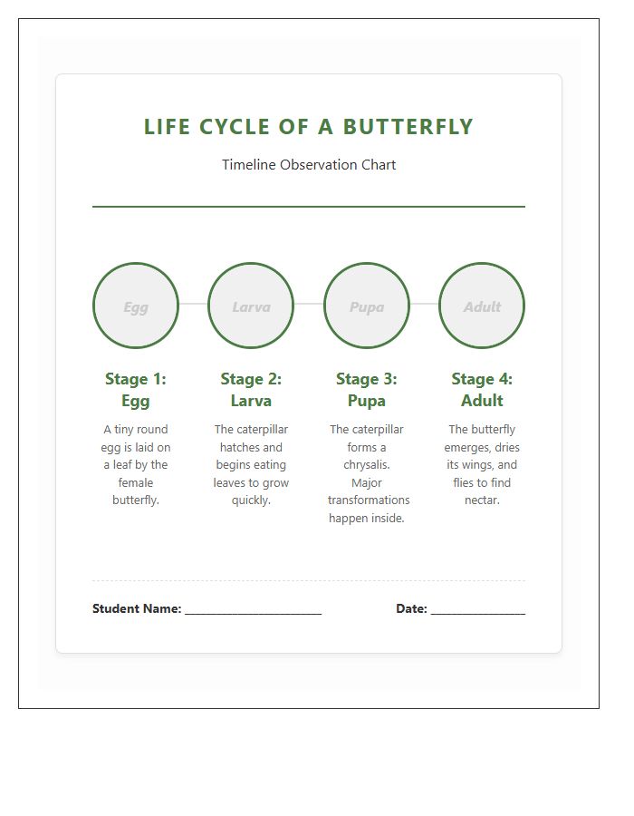 Life Cycle Of A Butterfly Timeline Printable Chart With Labels