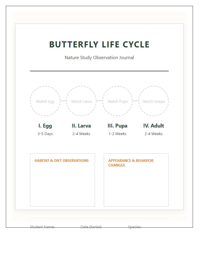 Nature Study Butterfly Life Cycle Timeline Printable Chart