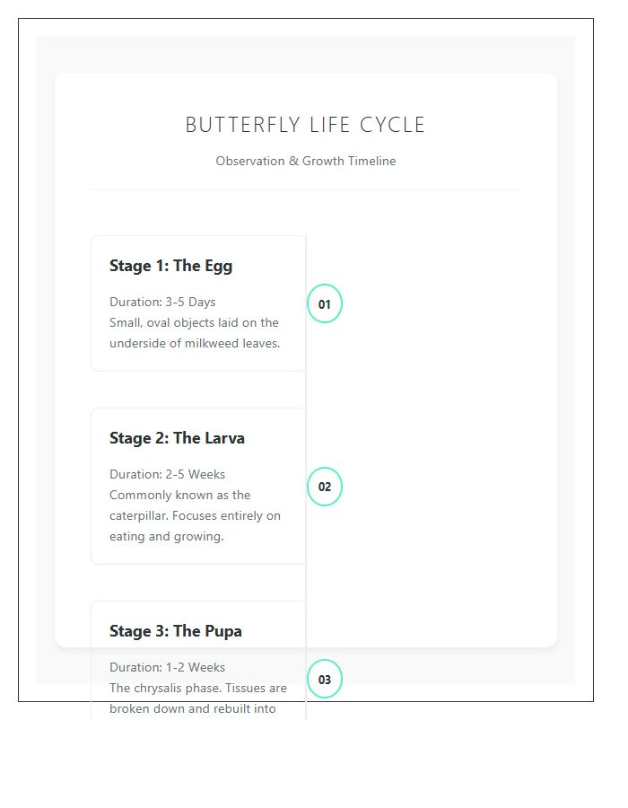 Stages Of Butterfly Growth Timeline Printable Chart