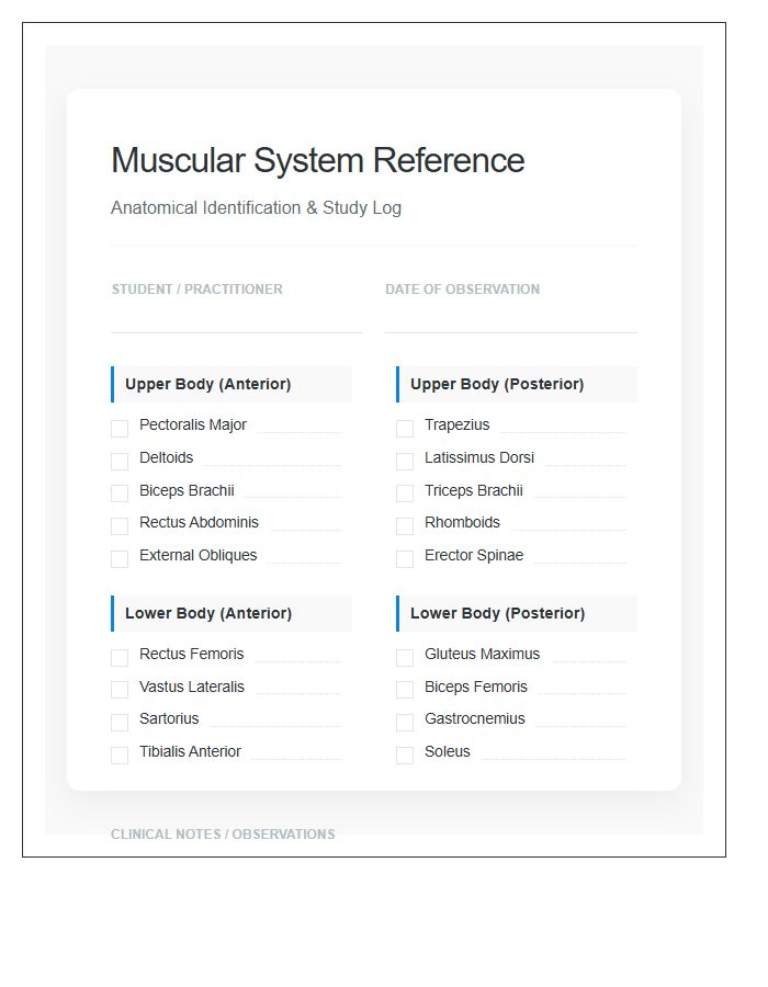 Reference Human Anatomy Muscles Printable Chart