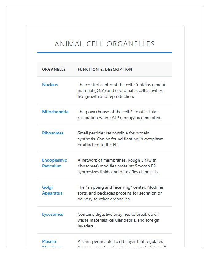 Biological Animal Cell Organelles Printable Chart