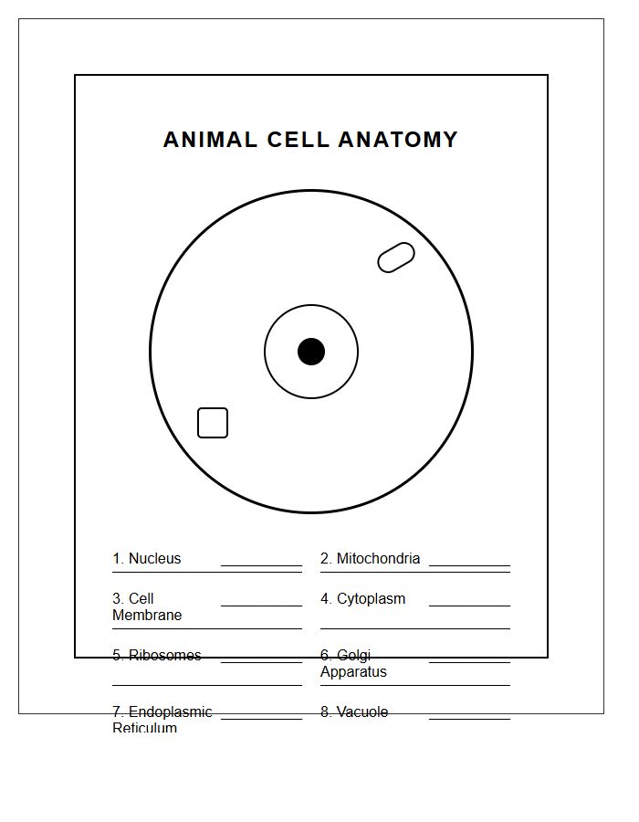 Black And White Animal Cell Printable Chart
