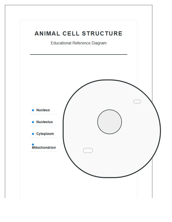 High Resolution Animal Cell Printable Chart Diagram