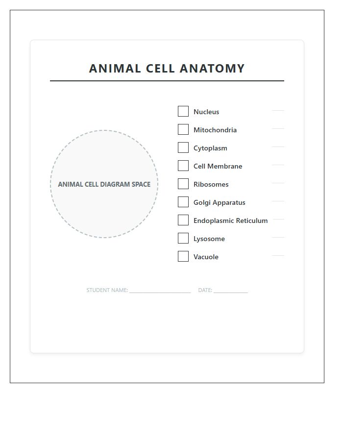Labeled Diagram Of Animal Cell Printable Chart