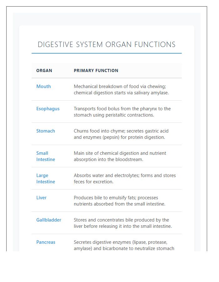 Digestive System Organ Functions Printable Chart