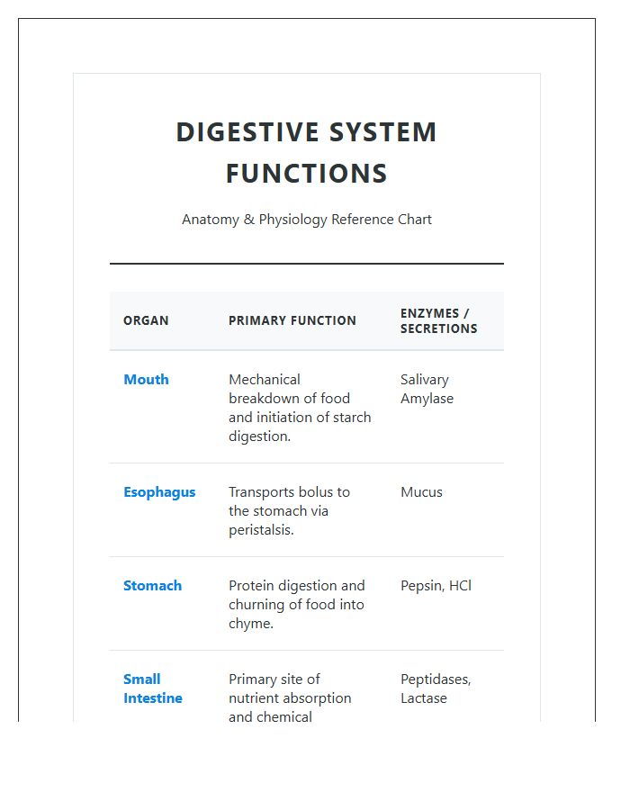 Educational Digestive System Functions Printable Chart