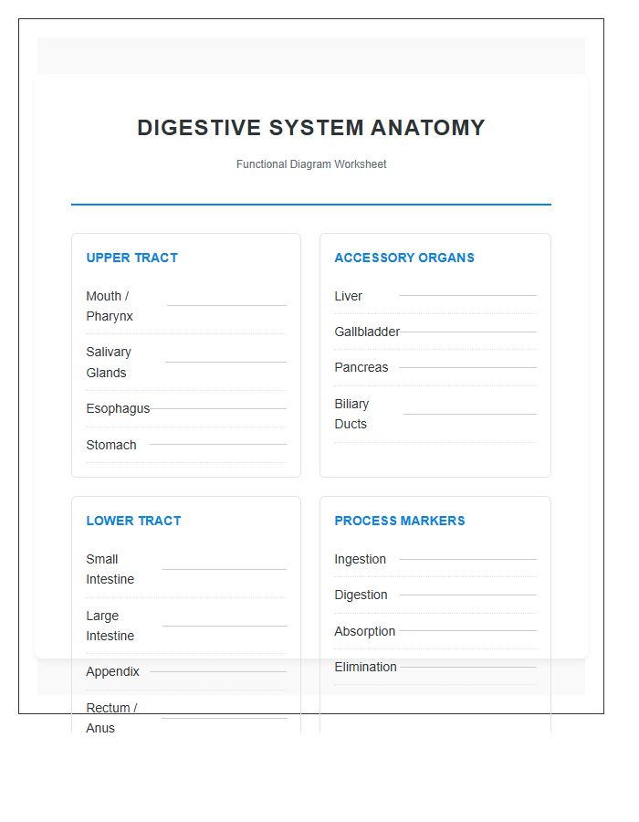 Functional Digestive System Anatomy Printable Chart