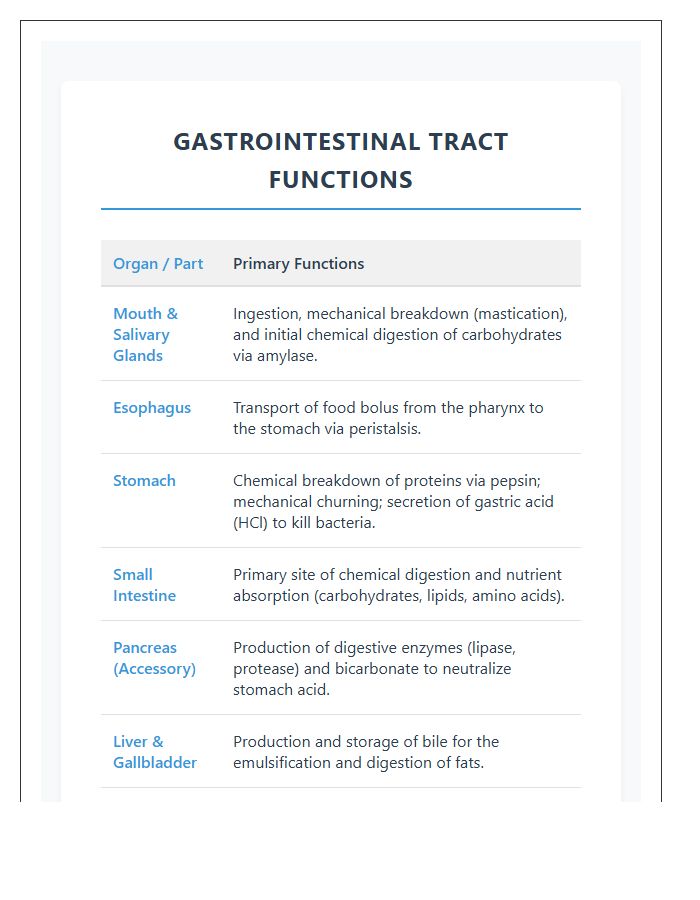 Gastrointestinal Tract Functions Printable Chart