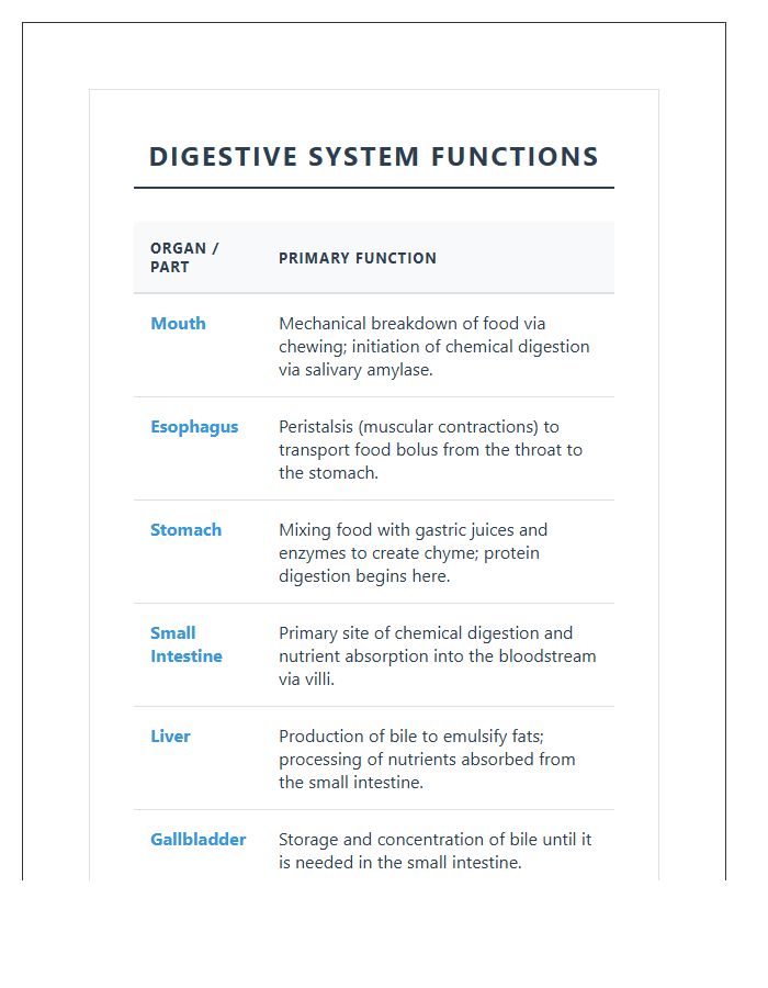 Human Body Digestive System Functions Printable Chart