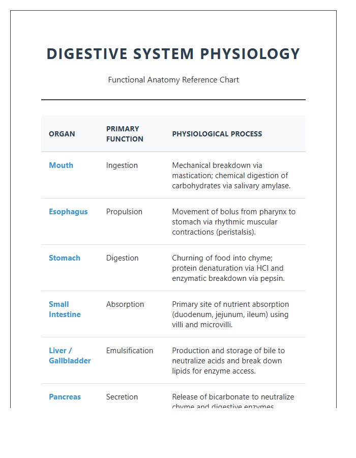 Physiology Digestive System Functions Printable Chart