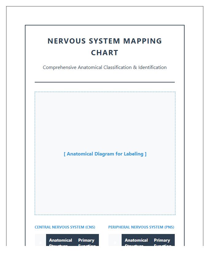 Comprehensive Nervous System Diagram Printable Mapping Chart