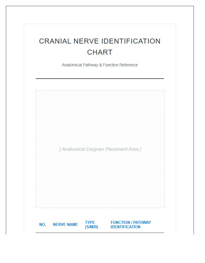 Cranial Nerve Pathways Diagram Printable Identification Chart