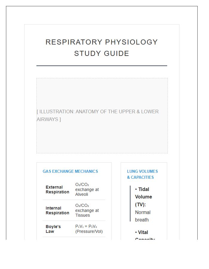 Respiratory System Physiology Study Printable Chart Diagram