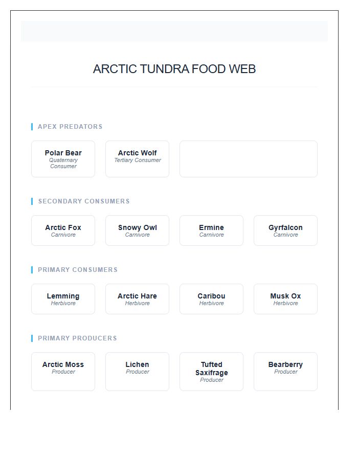 Arctic Tundra Food Web Printable Chart Diagram