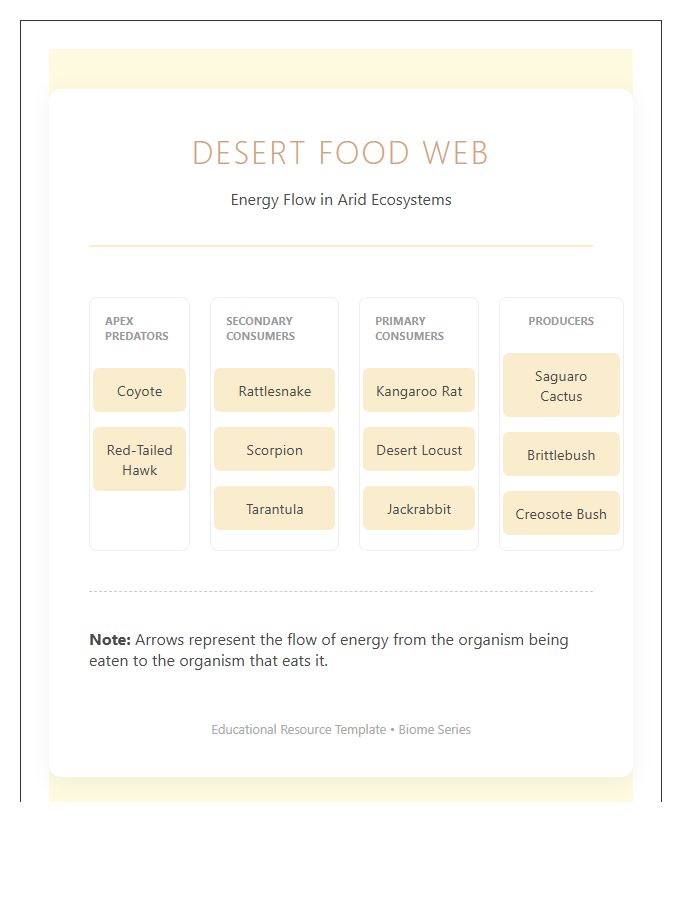 Desert Biome Food Web Printable Chart Diagram