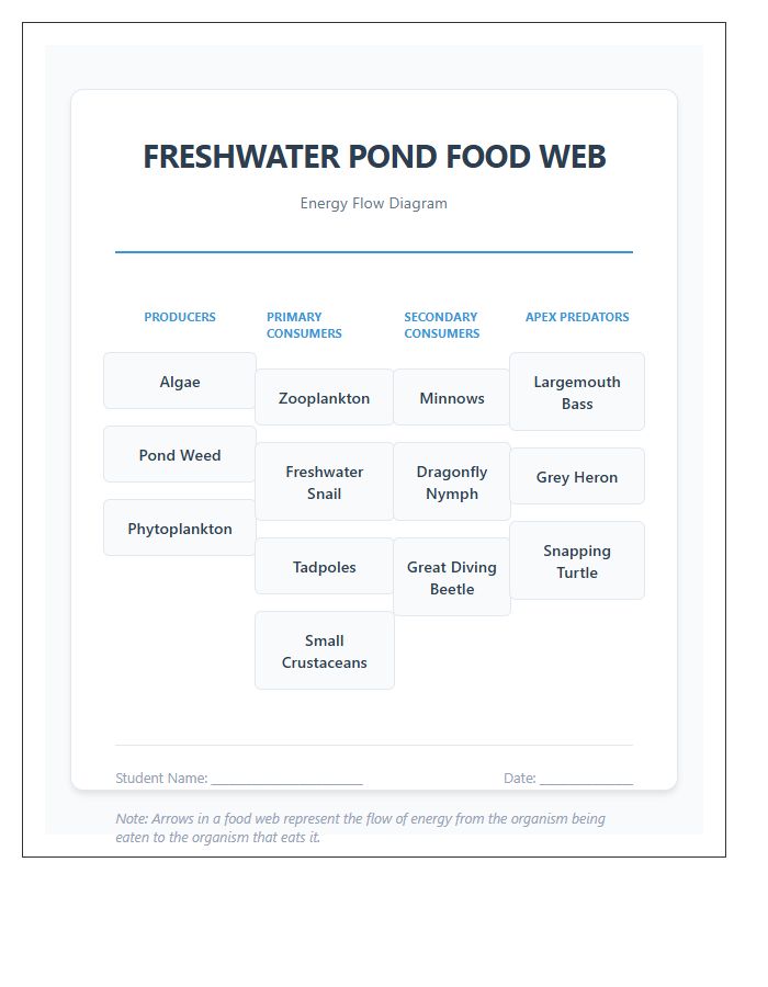 Freshwater Pond Food Web Printable Chart Diagram