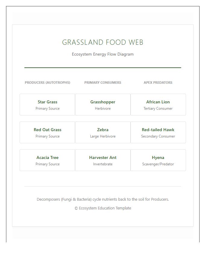 Grassland Food Web Ecosystem Printable Chart Diagram