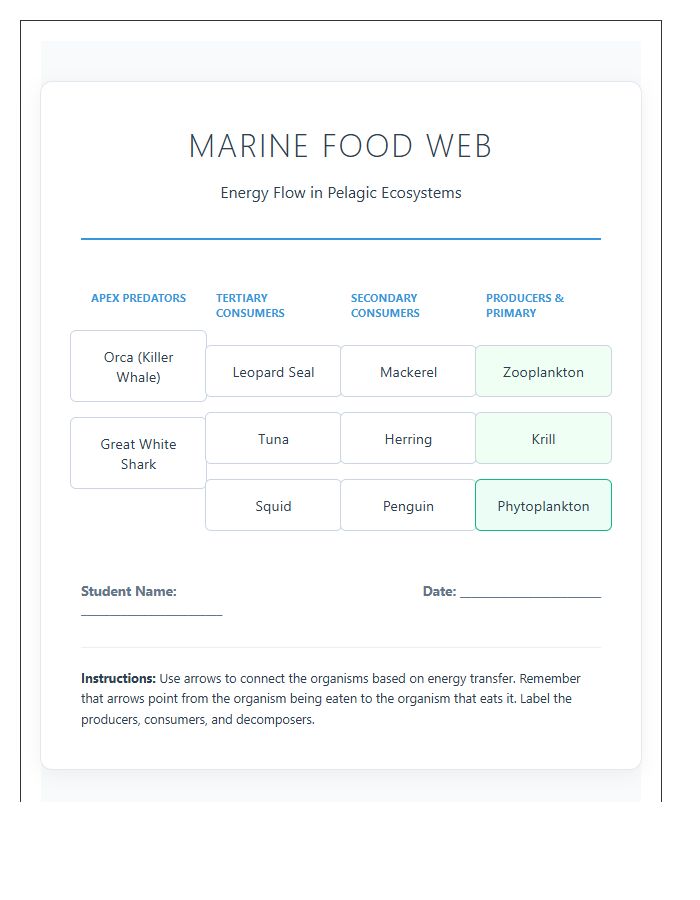 Marine Ecosystem Food Web Printable Chart Diagram